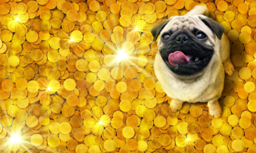 Read a review of Purrfect Pets slot plus get a 100% bonus up to R1000 & 30 free spins at our online casino South Africa!