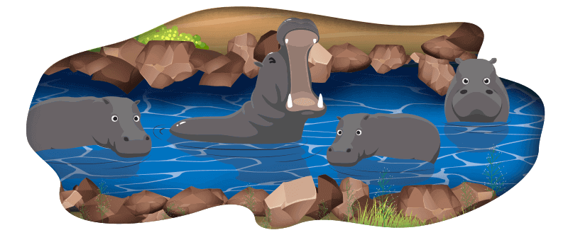 Thunderbolt Casino celebrates Hippos on Hippo Day 2021