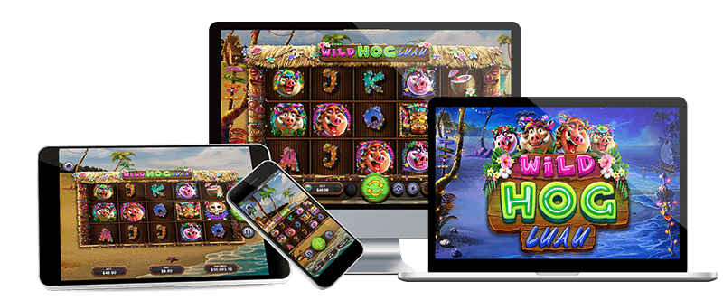 Brand new slot at Thunderbolt Online Casino- Wild Hog Luau