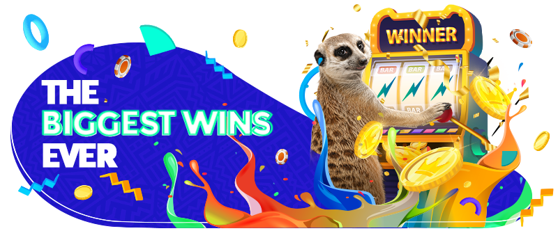 &ldquo;Could You Be Next?&rdquo; text beside a meerkat holding a large gold coin, with casino chips, coins and colourful shapes on a purple background.