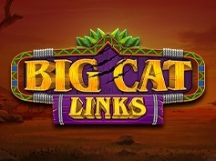 Big Cat Links