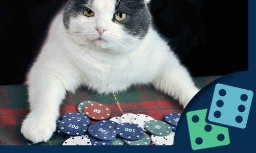 Online Casino Games as a Bonding Activity